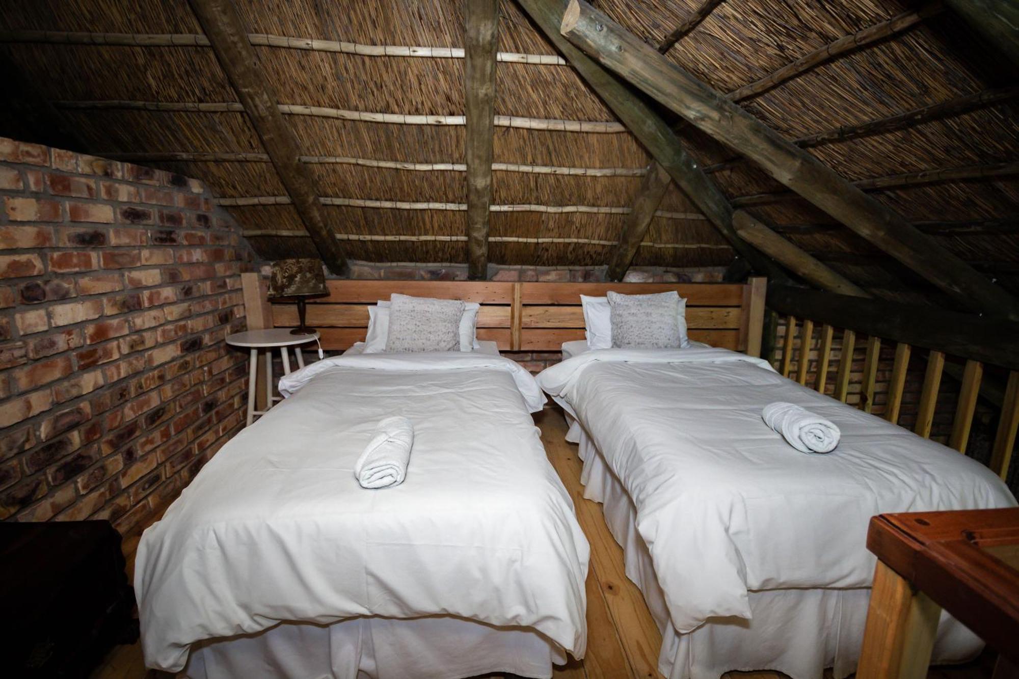 Tarantula Guest House Calvinia ภายนอก รูปภาพ