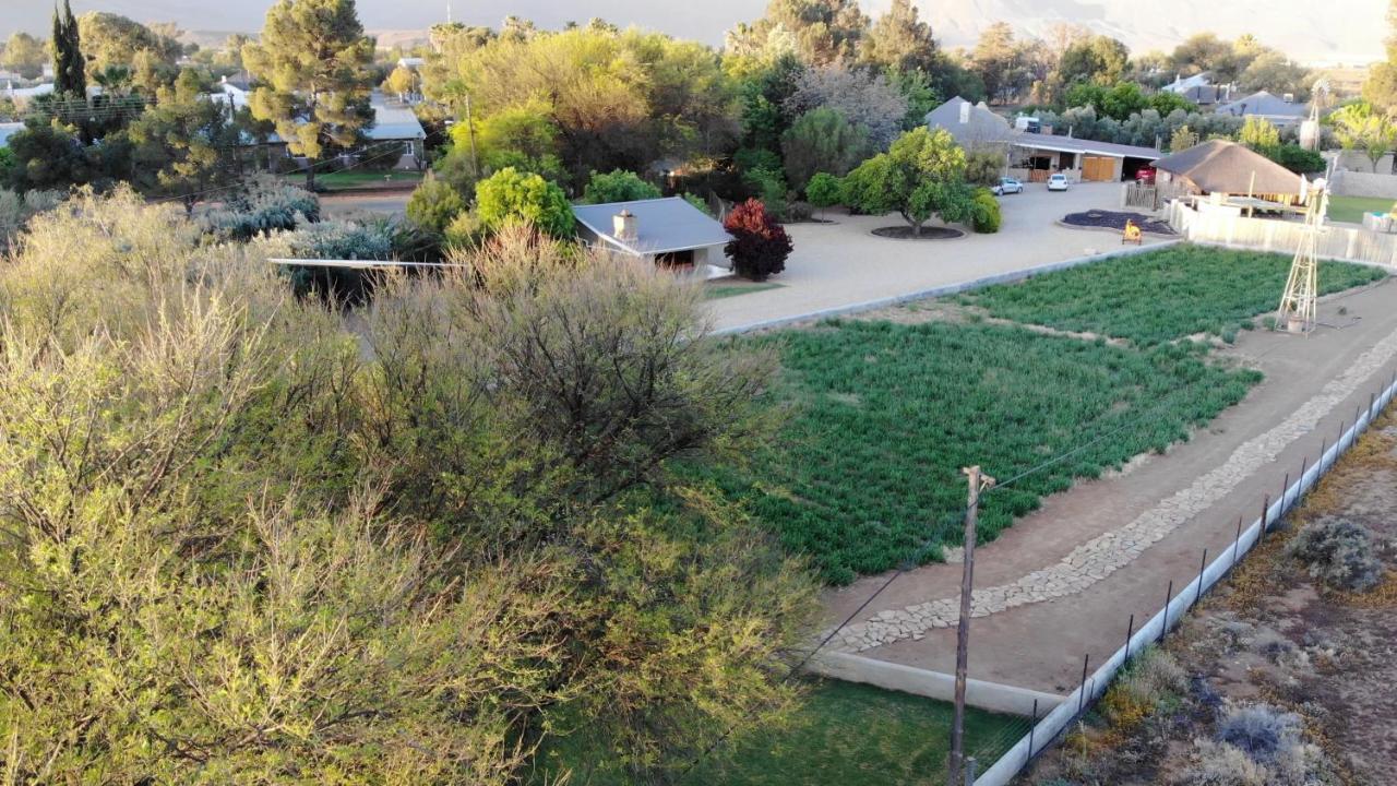 Tarantula Guest House Calvinia ภายนอก รูปภาพ