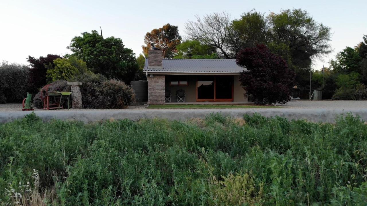 Tarantula Guest House Calvinia ภายนอก รูปภาพ