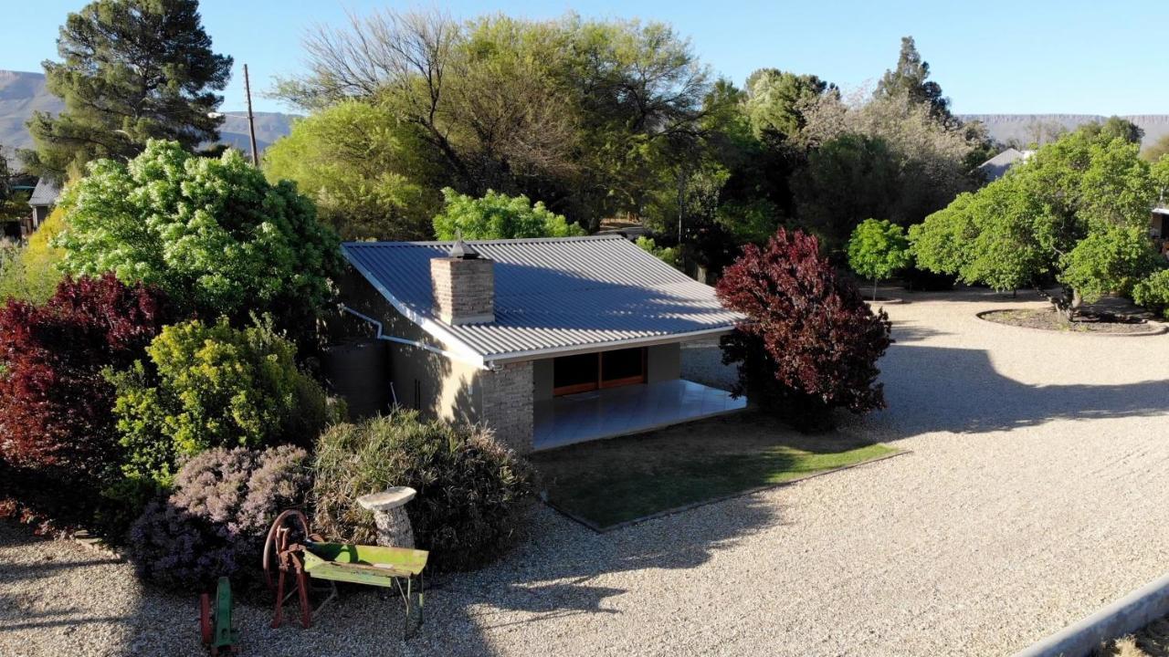 Tarantula Guest House Calvinia ภายนอก รูปภาพ